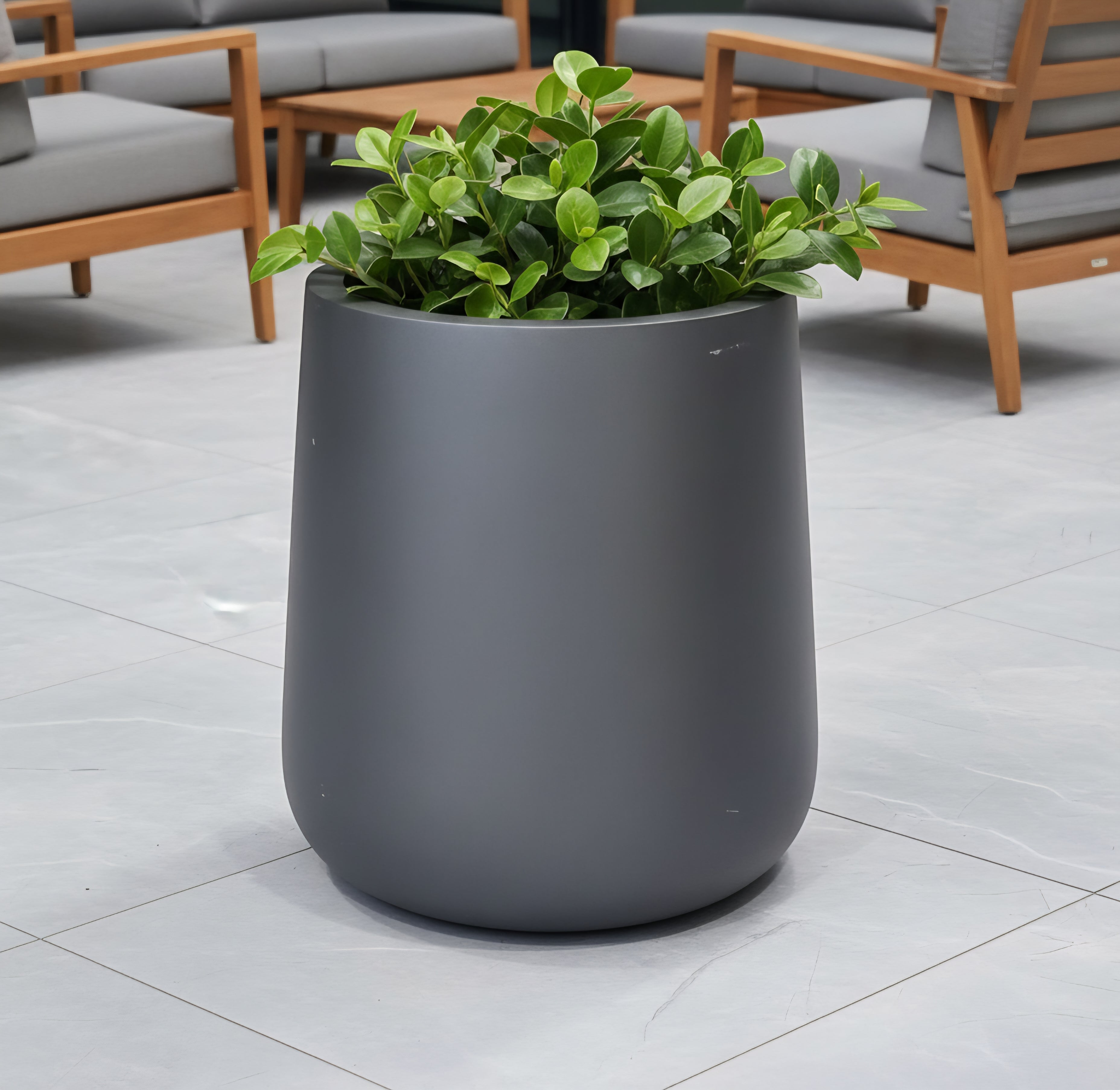 Syrah planters by Avantika's Garden