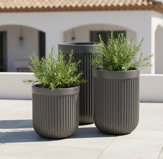 Martini planters by Avantika's Garden