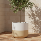 Torino planters by Avantika's Garden