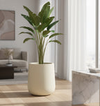 Syrah planters by Avantika's Garden
