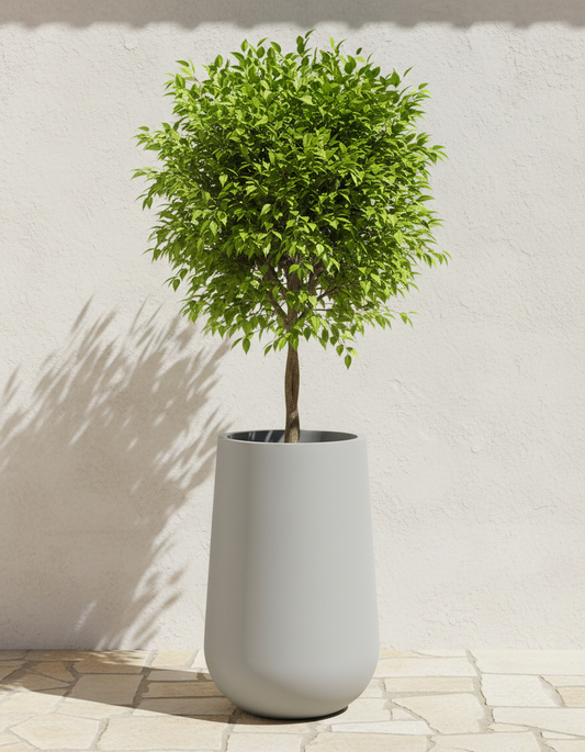 Syrah (slim) planters