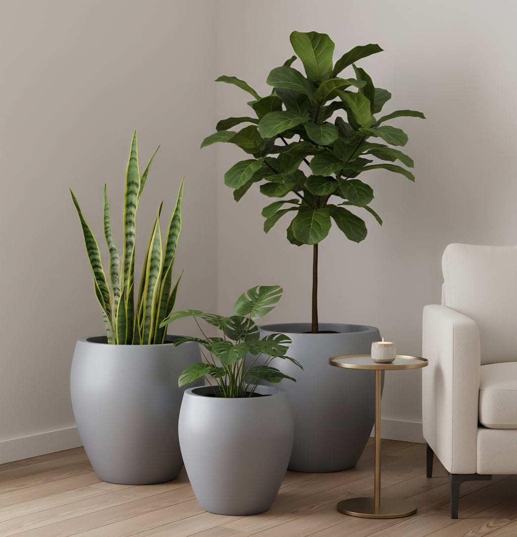 Donatello planters by Avantika's Garden