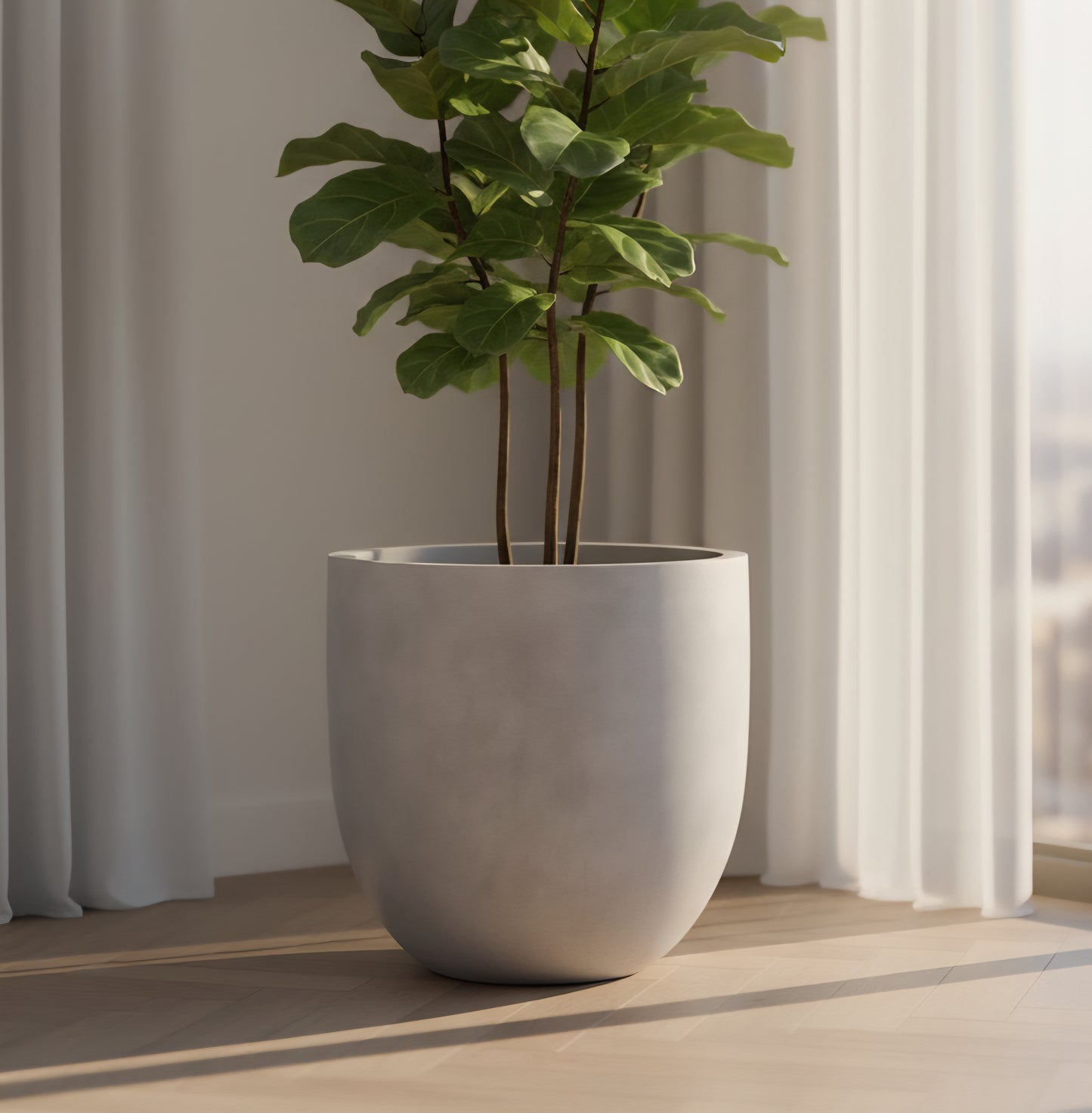 Europa planters by Avantika's Garden