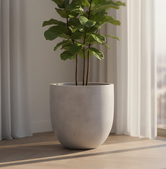 Europa planters by Avantika's Garden