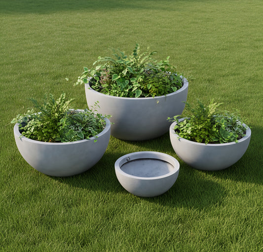 Barbera Bowl planters
