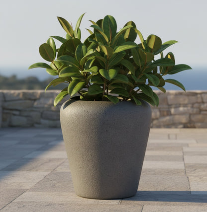 Aquarius planter by Avantika's Garden