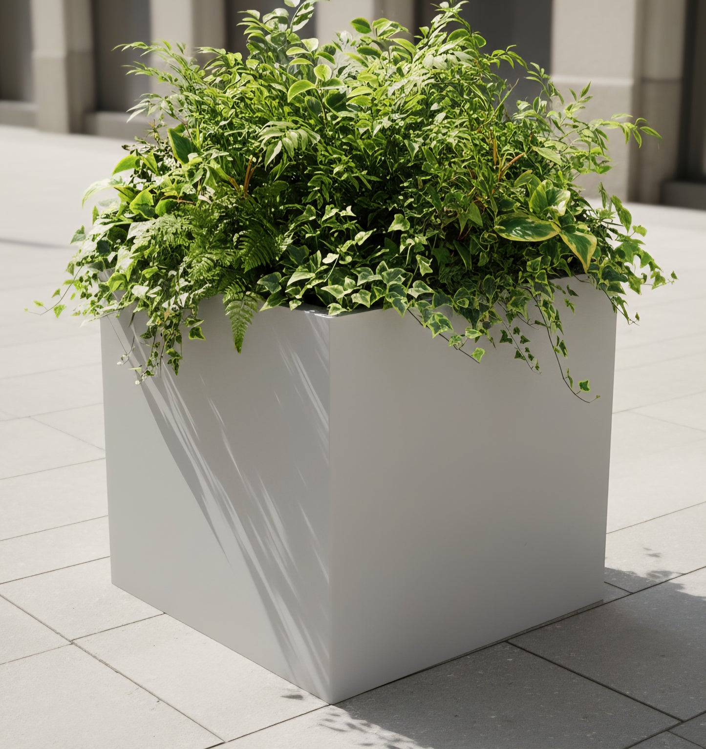 Cube 20" & Cube 24" by Avantika's Garden