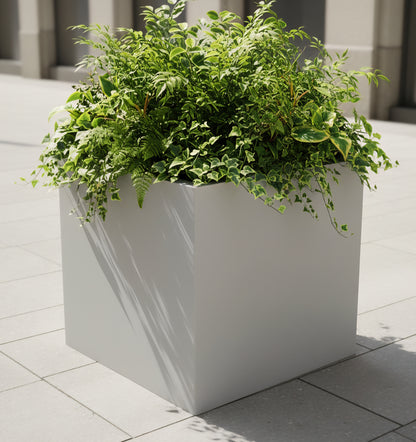 Cube 20" & Cube 24" by Avantika's Garden