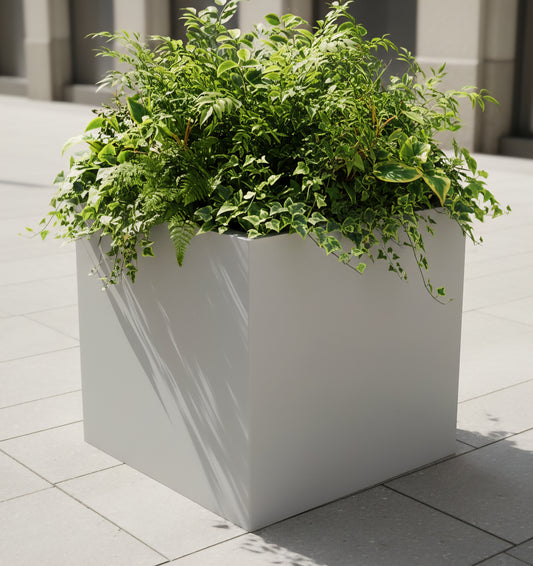 Cube 20" & Cube 24" by Avantika's Garden