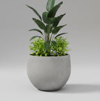 Zeus planter by Avantika's Garden