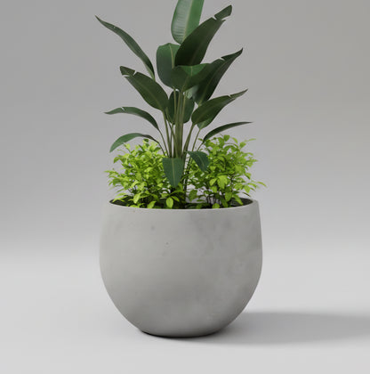 Zeus planter by Avantika's Garden