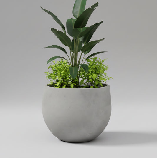Zeus planter by Avantika's Garden