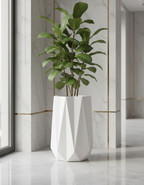 Chi planter by Avantika's Garden