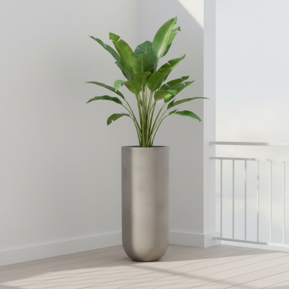 Regent planters by Avantika's Garden