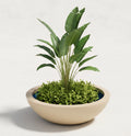 Jumbo Bowl Planter