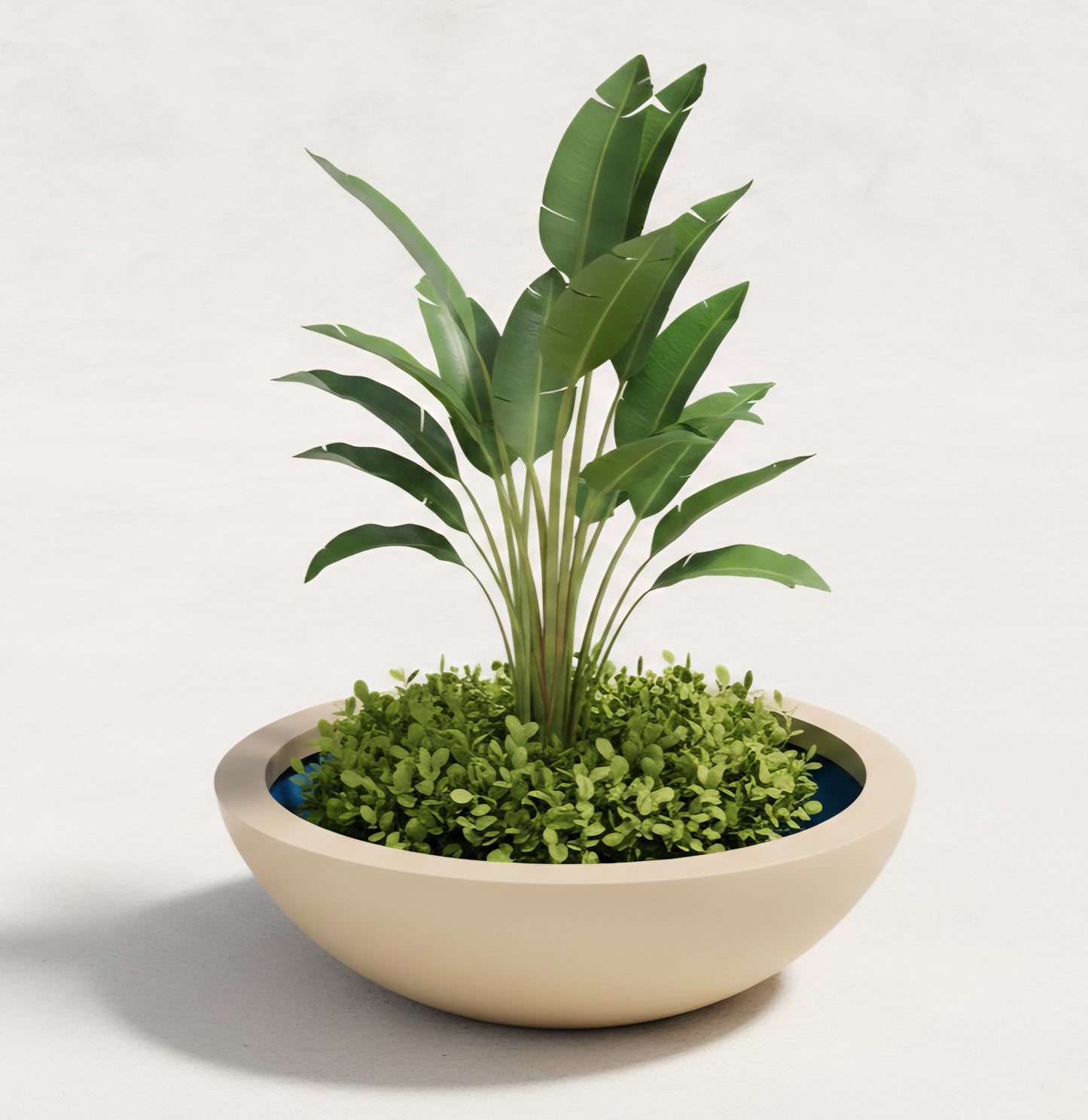 Jumbo Bowl Planter
