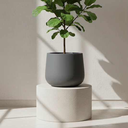 Syrah (12") planter