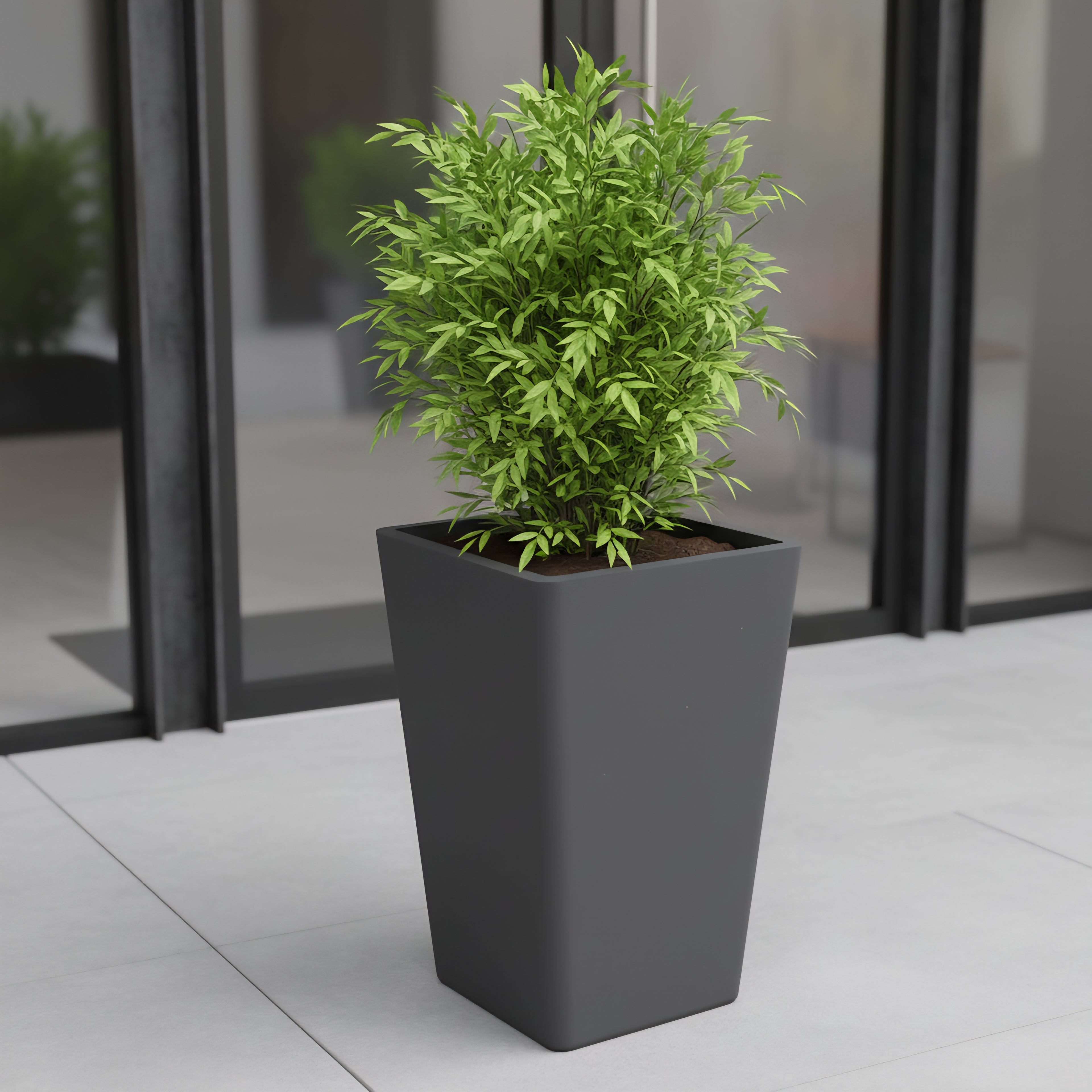 Glory planters by Avantika's Garden