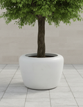 Aries Planter