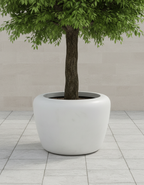 Aries Planter