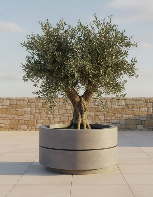 Monarch Planter