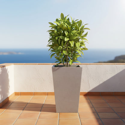 Seasons planter by Avantika's Garden