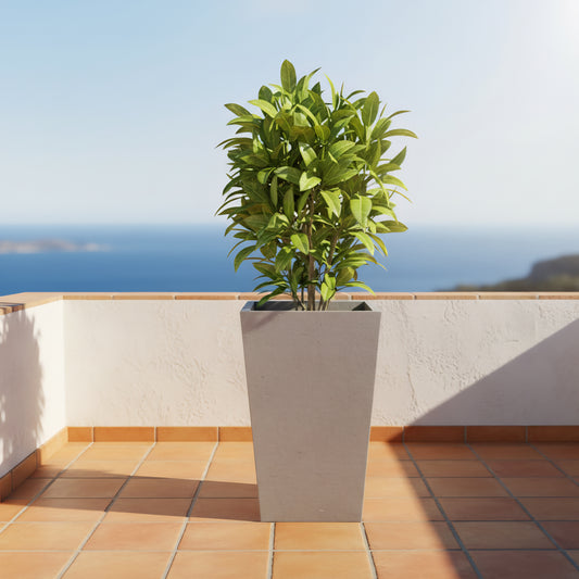 Seasons planter by Avantika's Garden