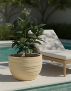 Uranus planter by avantika's Garden