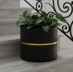 Moscato planters by Avantika's Garden