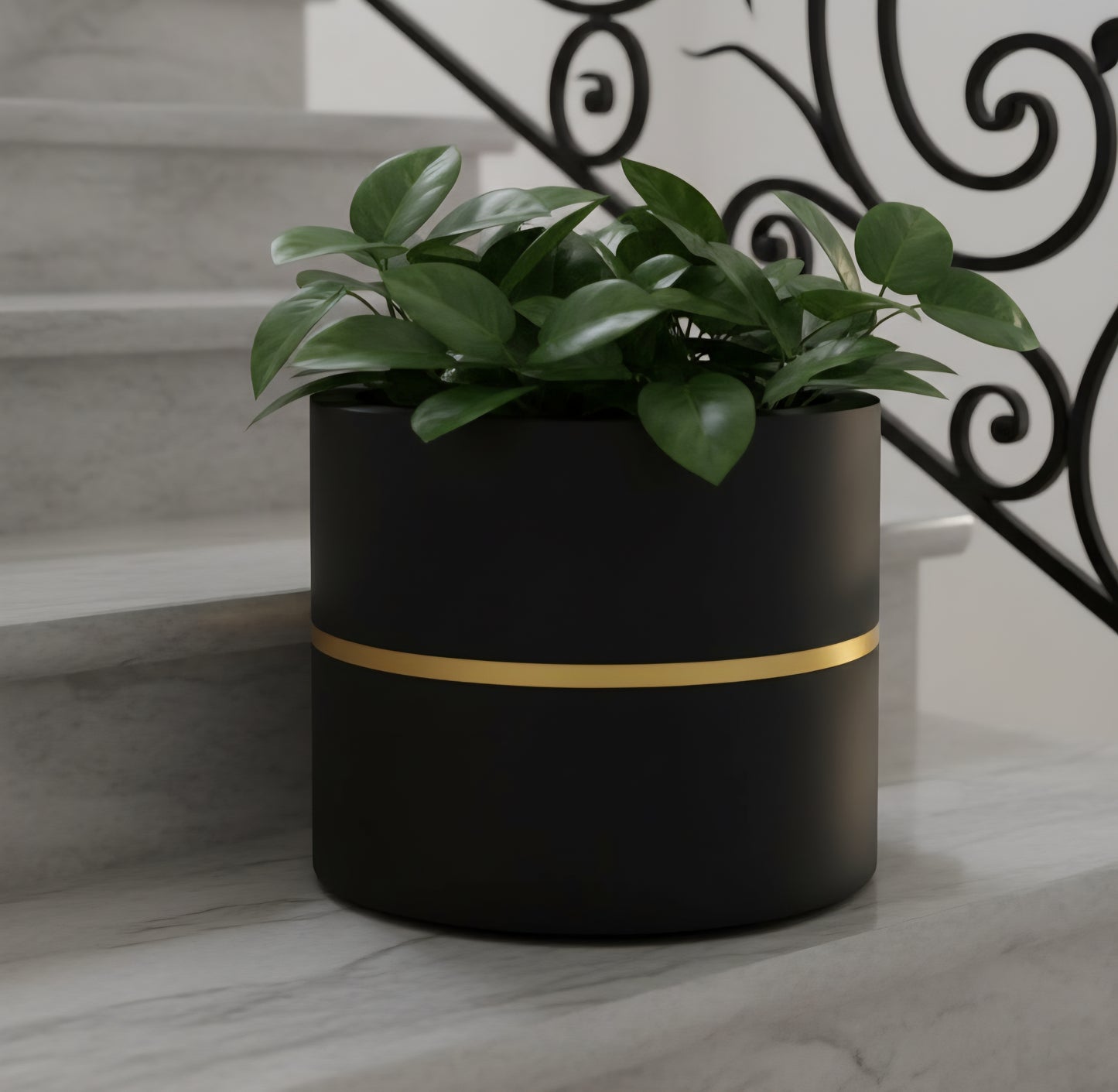 Moscato planters by Avantika's Garden