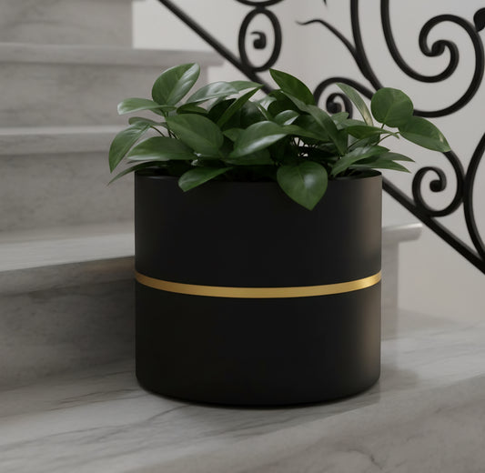 Moscato planters by Avantika's Garden