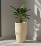 Imperial planters by Avantika's Garden