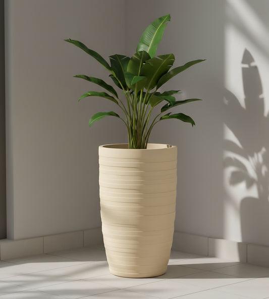 Imperial planters by Avantika's Garden