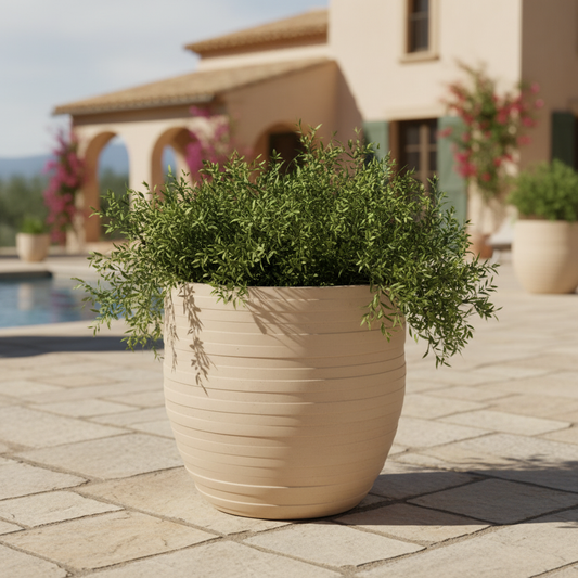 Neptune planter by Avantika's Garden