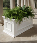 Royal box planter