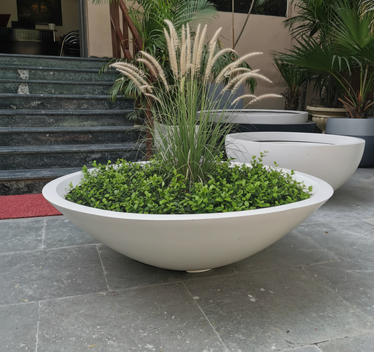 Big Bowl 48" x 15"
